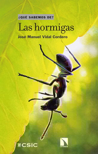 Las hormigas.