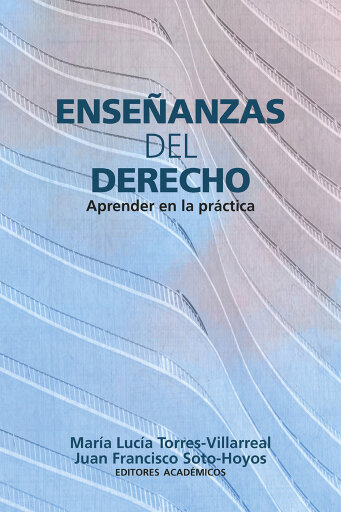 Enseñanzas del derecho. Aprender en la práctica