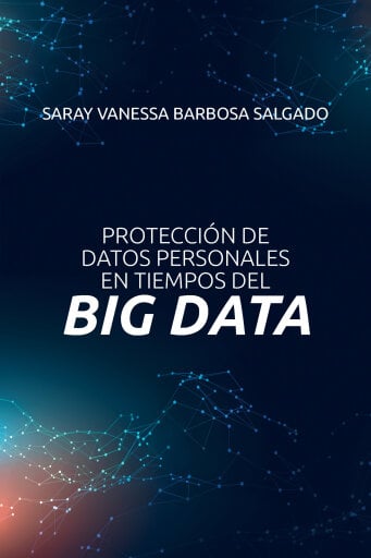 Protección de datos personales en tiempos del big data.