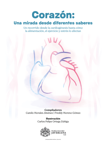 Corazón: una mirada desde diferentes saberes. Un recorrido desde la cardiogénesis hasta cómo la alimentación, el ejercicio y estrés lo afectan