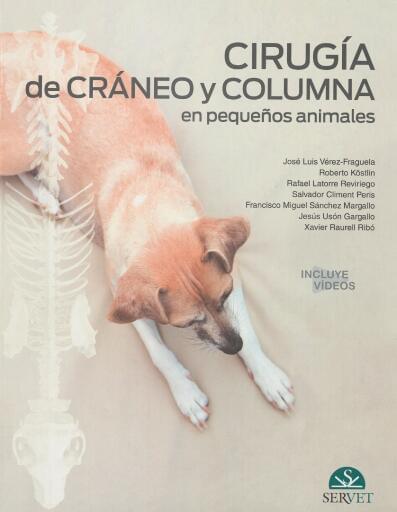 Cirugía de cráneo y columna en pequeños animales