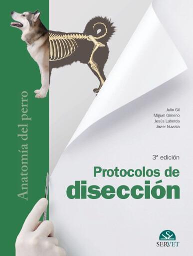 Anatomía del perro: protocolos de disección
