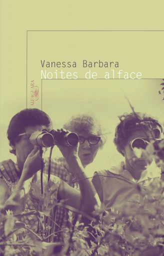 Noites de alface