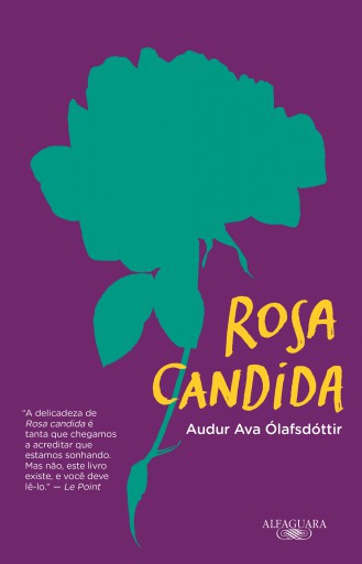 Rosa candida
