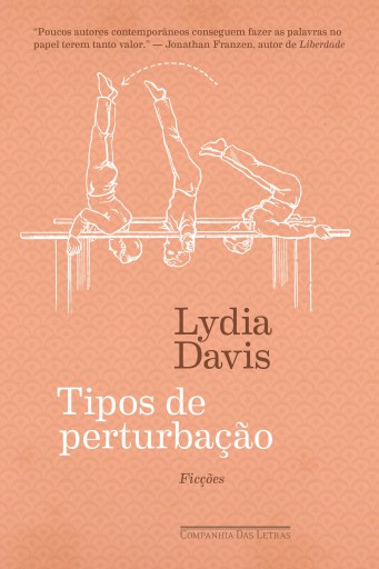 Tipos de perturbação