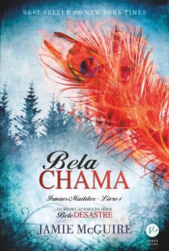 Bela chama - Irmãos Maddox - vol. 4