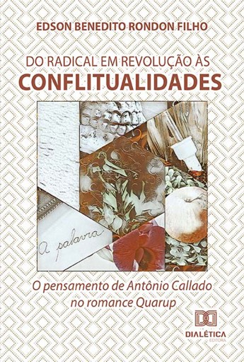 Do radical em revolução às conflitualidades