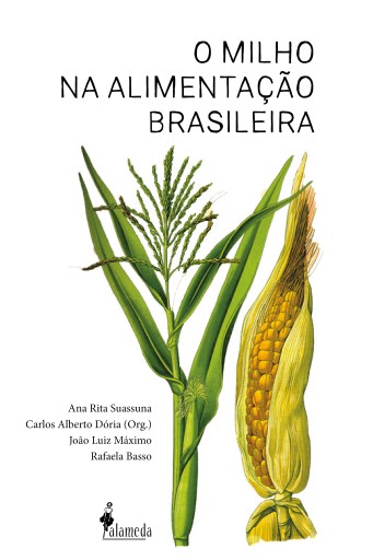 O milho na alimentação brasileira