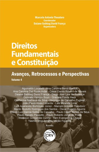 Direitos fundamentais e constituição