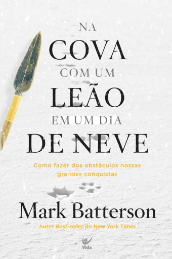 Na cova com um leão em um dia de neve