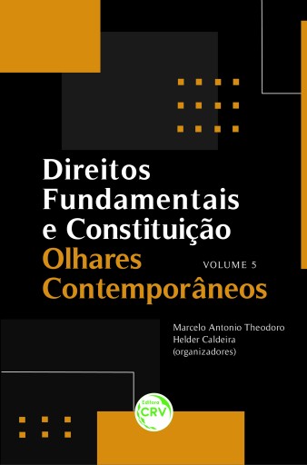 Direitos fundamentais e constituição