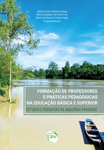 Formação de professores e práticas pedagógicas na educação básica e superior