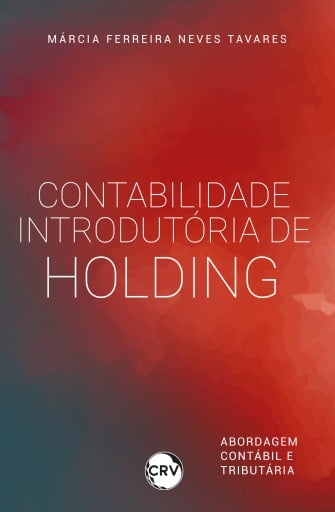 Contabilidade introdutória de holding