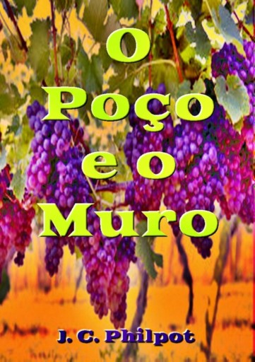 Portada del libro «O Poço E O Muro», de Silvio Dutra