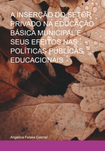 A Inserção Do Setor Privado  Na Educação Básica Municipal E Seus Efeitos Nas Políticas Públicas Educacionais