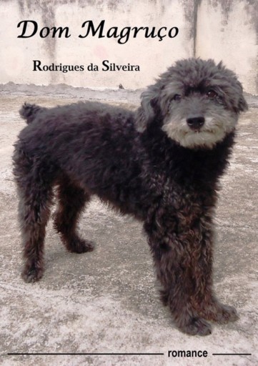 Portada del libro «Dom Magruço»
