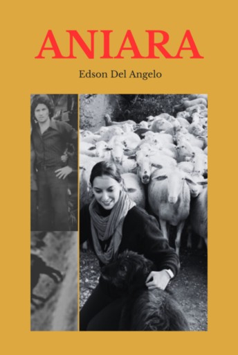 Portada del libro «Aniara», de Edson Del Angelo