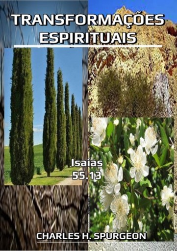 Portada del libro «Transformações Espirituais», de Silvio Dutra