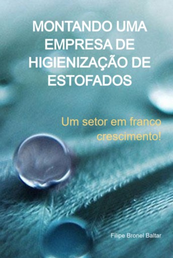 Montando Uma Empresa De Higienização De Estofados