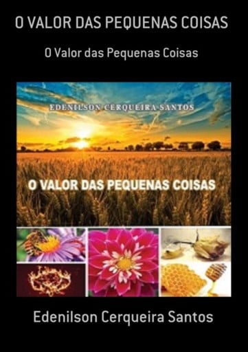 O Valor Das Pequenas Coisas