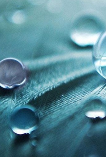 Projeto Pedagógico Qualitativo