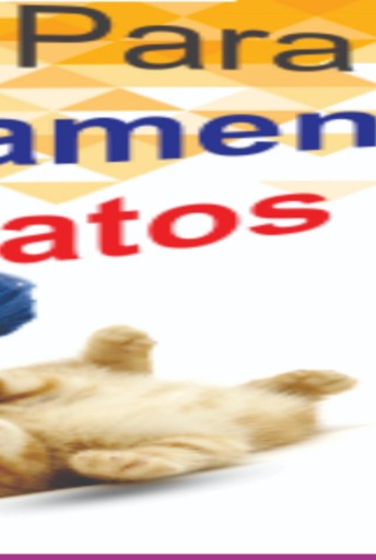 Guia De Adestramento Para Gatos