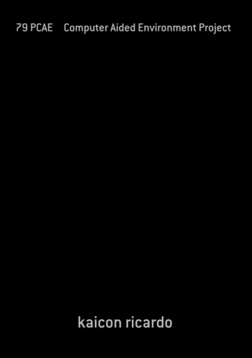 79 Pcae     Computer Aided Environment Project