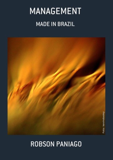 Management - Made In Brazil