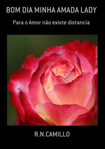 Bom Dia Minha Amada Lady