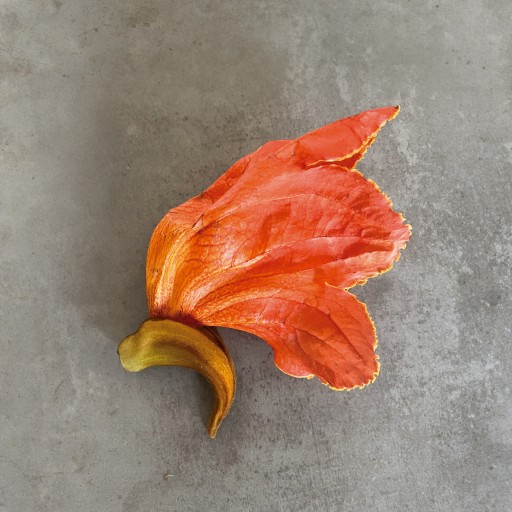 intermitências apenas