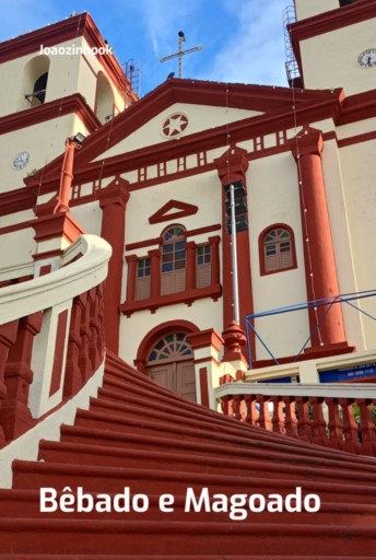 Bêbado E Magoado