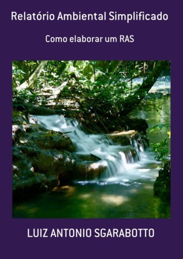 Relatório Ambiental Simplificado