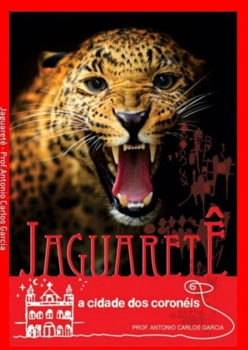 Jaguaretê: A Cidade Dos Coronéis Pocket
