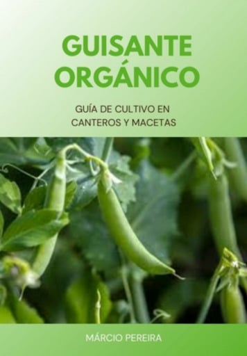 Guisante Orgánico