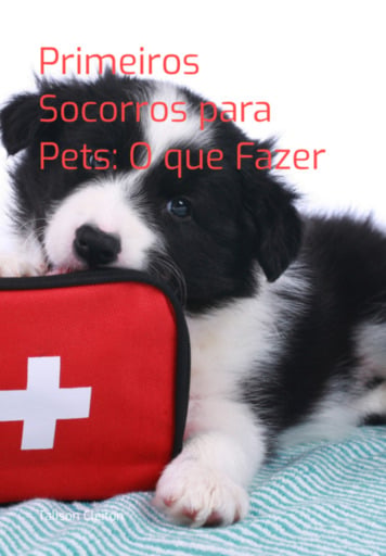 Primeiros Socorros Para Pets: O  Que Fazer