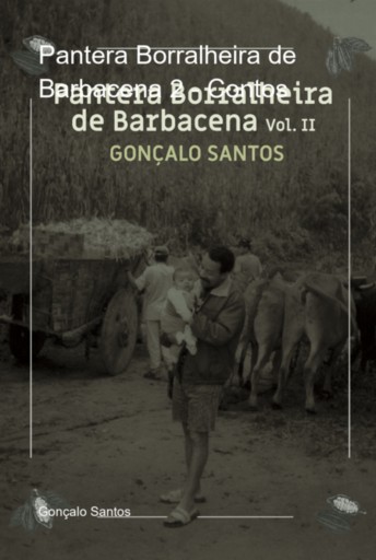 Pantera Borralheira De Barbacena 2 - Contos