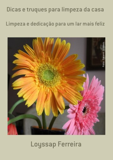 Dicas E Truques Para Limpeza Da Casa