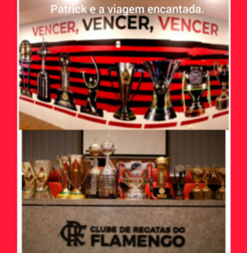 A Sala De Troféus Do Flamengo.