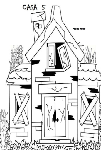 Casa 5