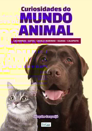 Minibook Curiosidades do Mundo Animal
