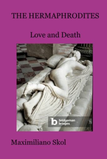Portada del libro «The Hermaphrodites»