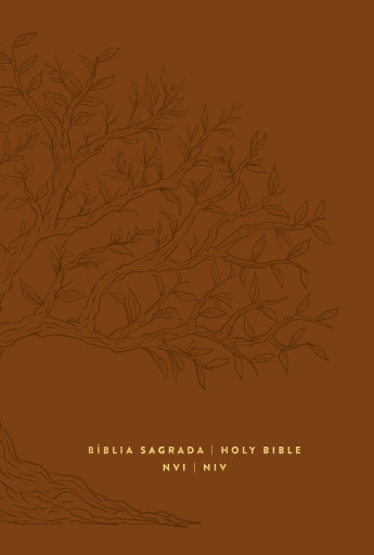 Bíblia Bilíngue NVI/NIV, Português/Inglês, Caramelo, Leitura Perfeita