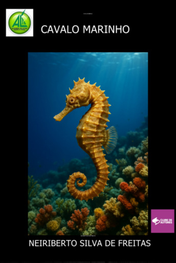 Cavalo Marinho