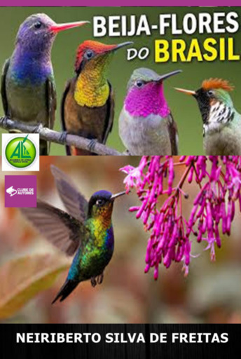 Beija - Flores Do Brasil