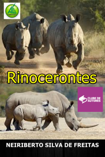 Rinocerontes
