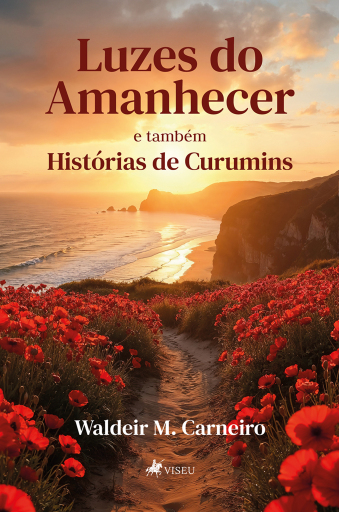 Luzes do amanhecer