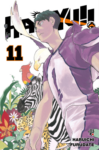 Haikyu!! BIG vol. 11