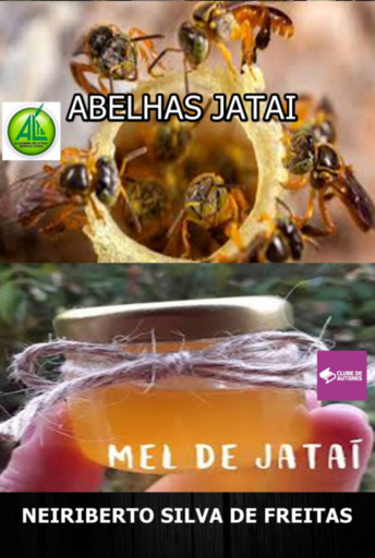 Abelhas Jatai