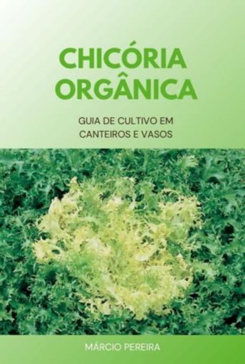Chicória Orgânica