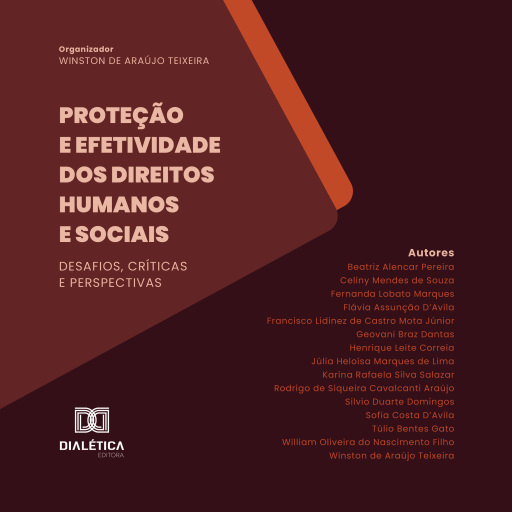 Proteção e Efetividade dos Direitos Humanos e Sociais